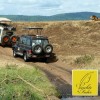 Feuchte Feder - Pinkelgeschichten: Das peinliche Safari-Erlebnis – Mit randvoller Blase im Jeep