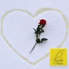 Weihnachten und Winterzeit: Ein goldenes Valentinsgeschenk – Pee-Liebeserklärung im Schnee