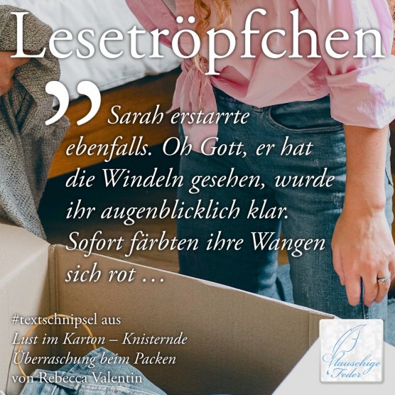 Lust im Karton: Sarah erstarrte ebenfalls. Oh Gott, er hat die Windeln gesehen, wurde ihr augenblicklich klar.